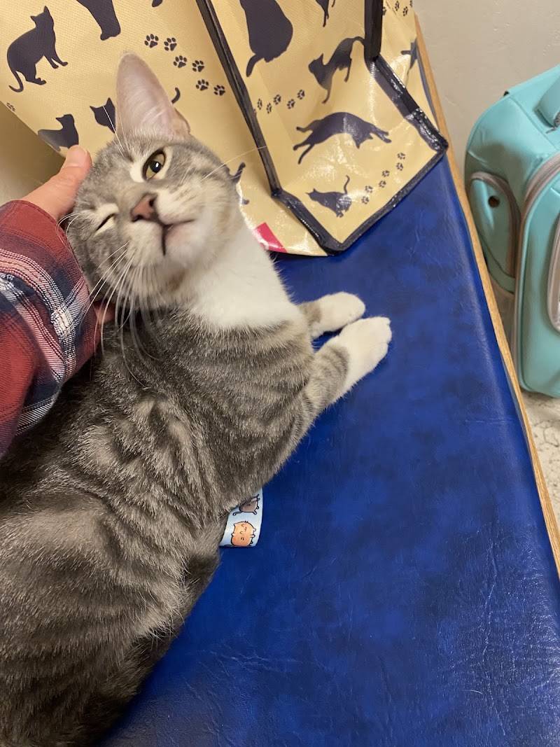 Park Animal Hospital