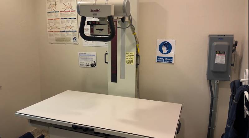 Park Animal Hospital
