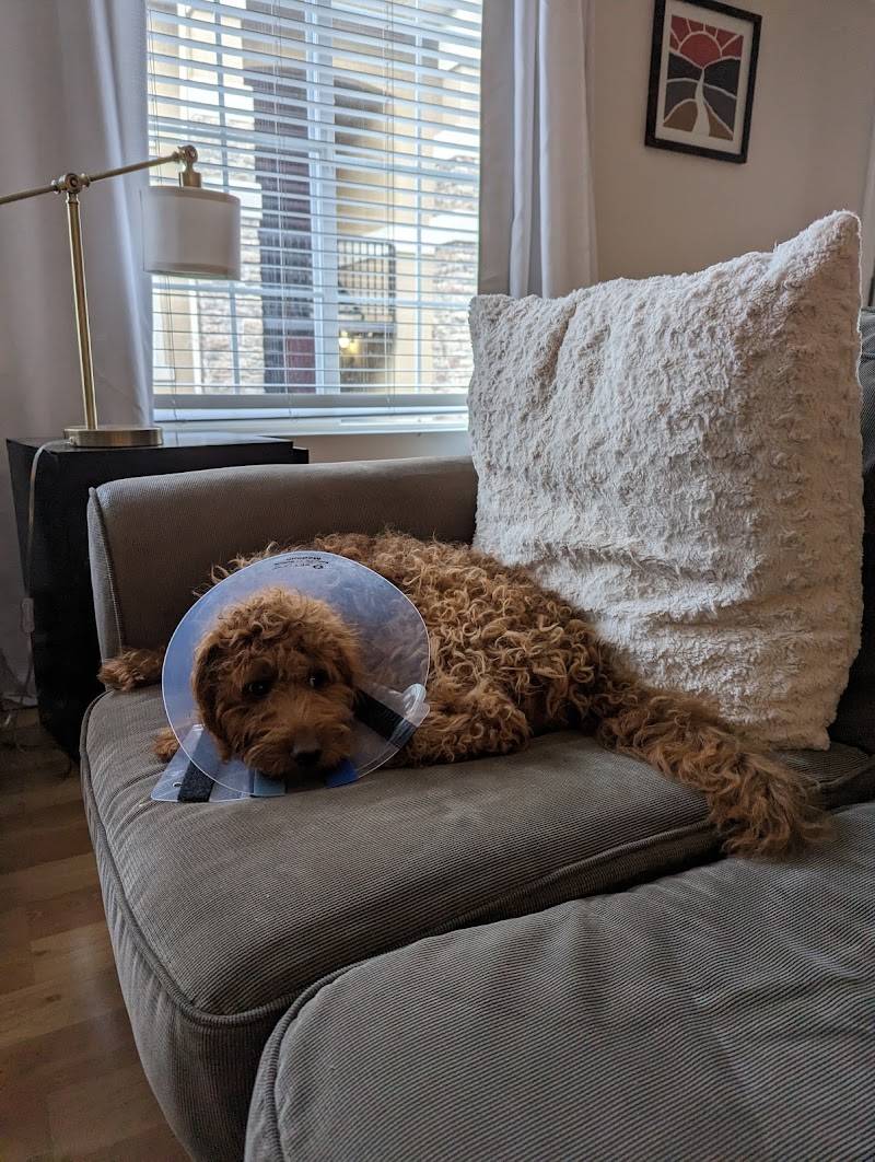 Park Animal Hospital